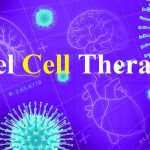 Novel Cell Therapy