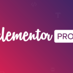 Elementor PRO v3.6.3